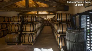 TORRE A CONA WINE ESTATE