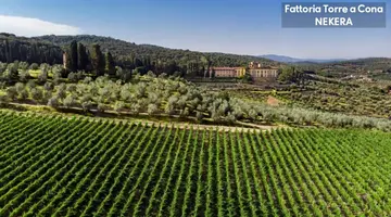 TORRE A CONA WINE ESTATE