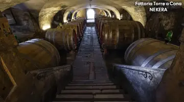 TORRE A CONA WINE ESTATE