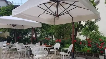 Tourist