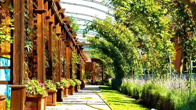Trakia Plaza Hotel and Apartments