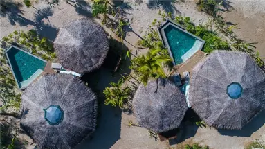 Treehouse Villas 5