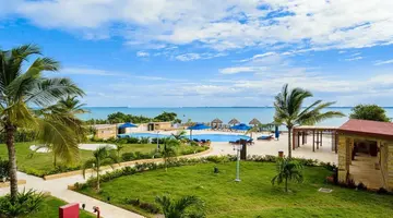 Treetop By Eight Continents