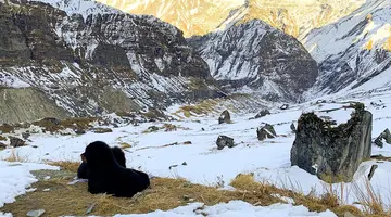 Trekking Do Bazy Pod Annapurną