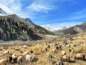 Trekking Wokół Annapurny