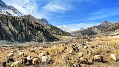 Trekking Wokół Annapurny