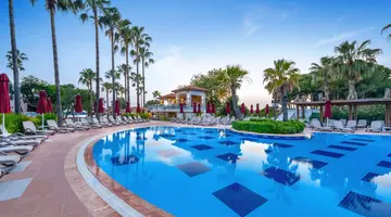 Trendy Palm Beach