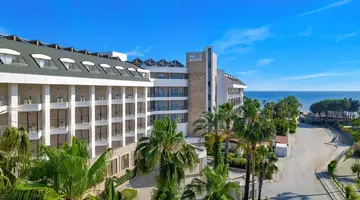 Trendy Palm Beach
