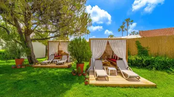 Trendy Palm Beach
