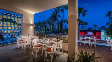Trendy Palm Beach