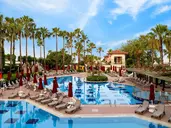 Trendy Palm Beach