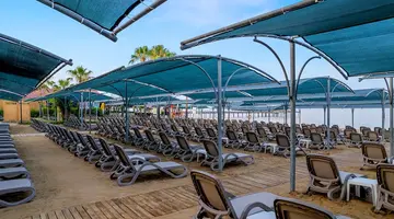 Trendy Palm Beach
