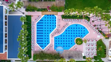 Trendy Palm Beach