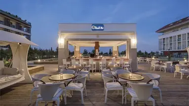 Trendy Verbena Beach