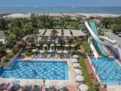 Trendy Verbena Beach