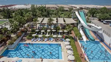 Trendy Verbena Beach