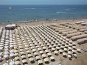 Trendy Verbena Beach