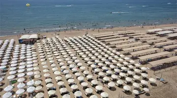 Trendy Verbena Beach
