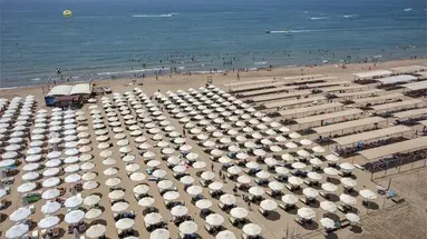 Trendy Verbena Beach