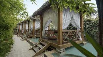 Trendy Verbena Beach
