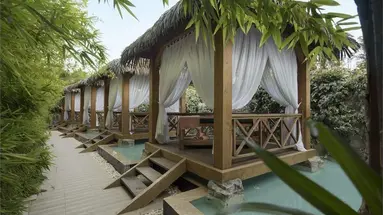 Trendy Verbena Beach