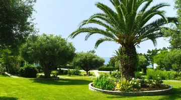 Trikorfo Beach Villas
