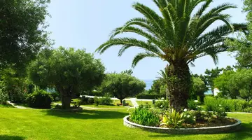 Trikorfo Beach Villas