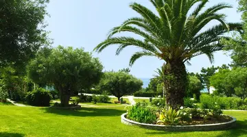 Trikorfo Beach Villas
