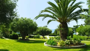 Trikorfo Beach Villas