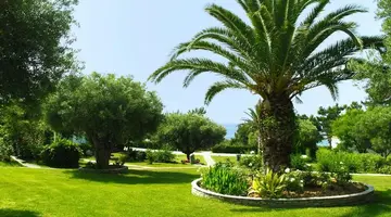 Trikorfo Beach Villas