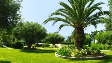 Trikorfo Beach Villas