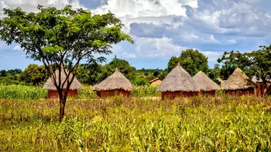 Tropami Dzikiej Afryki: Wyprawa do Ugandy