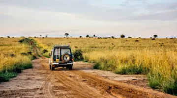 Tropami Dzikiej Afryki: Wyprawa do Ugandy
