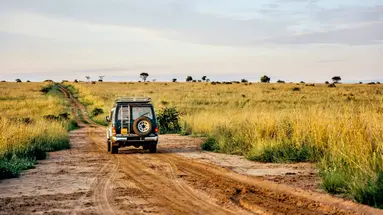 Tropami Dzikiej Afryki: Wyprawa do Ugandy