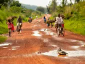 Tropami Dzikiej Afryki: Wyprawa do Ugandy