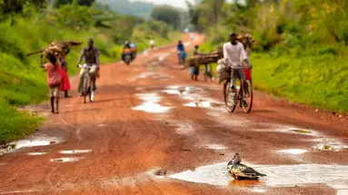 Tropami Dzikiej Afryki: Wyprawa do Ugandy