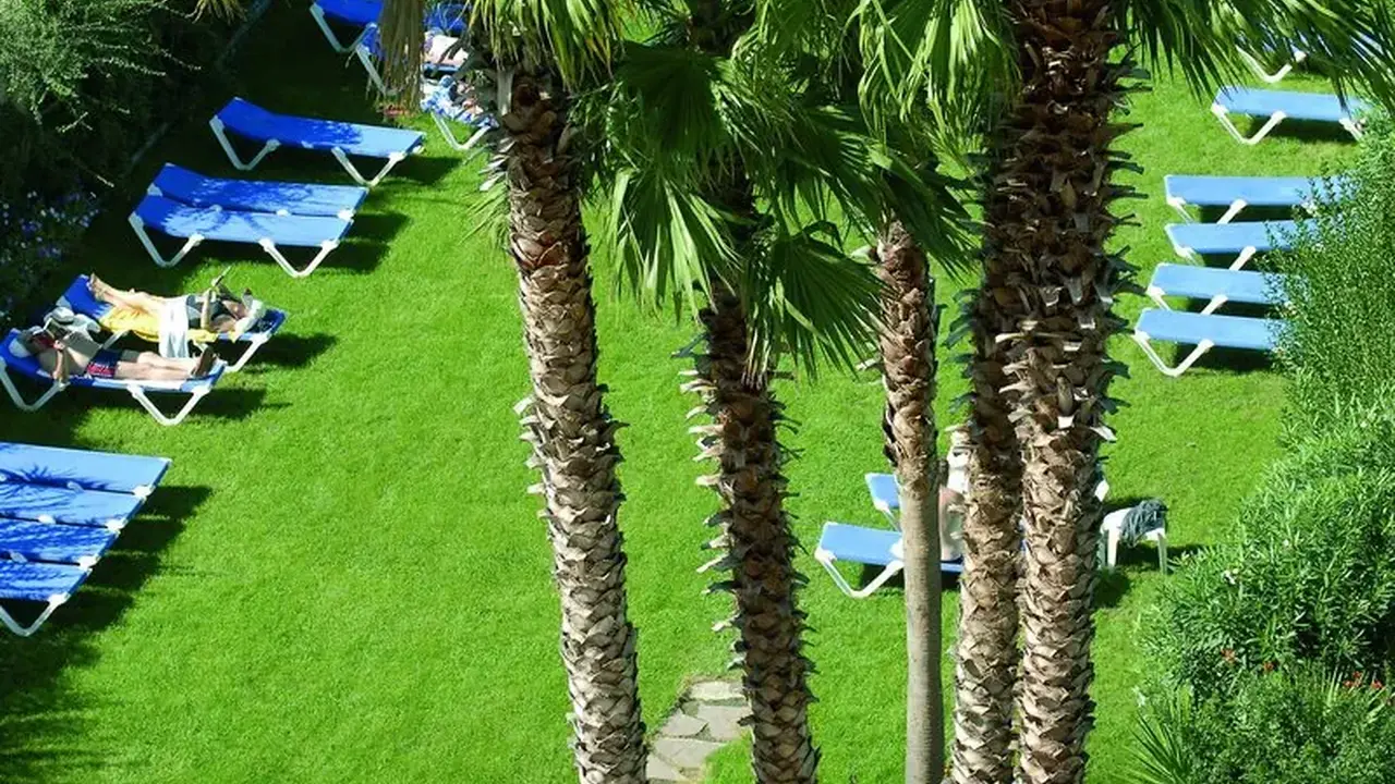 Tropic Park