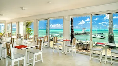 Tropical Attitude