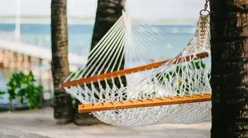 Tropical Attitude
