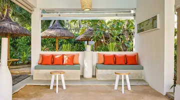 Tropical Attitude