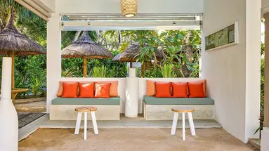Tropical Attitude