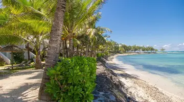TROPICAL ATTITUDE