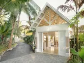 TROPICAL ATTITUDE