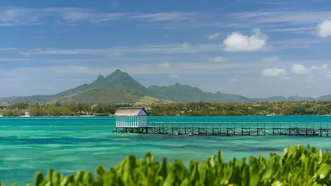TROPICAL ATTITUDE