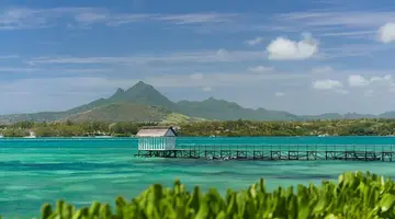 TROPICAL ATTITUDE