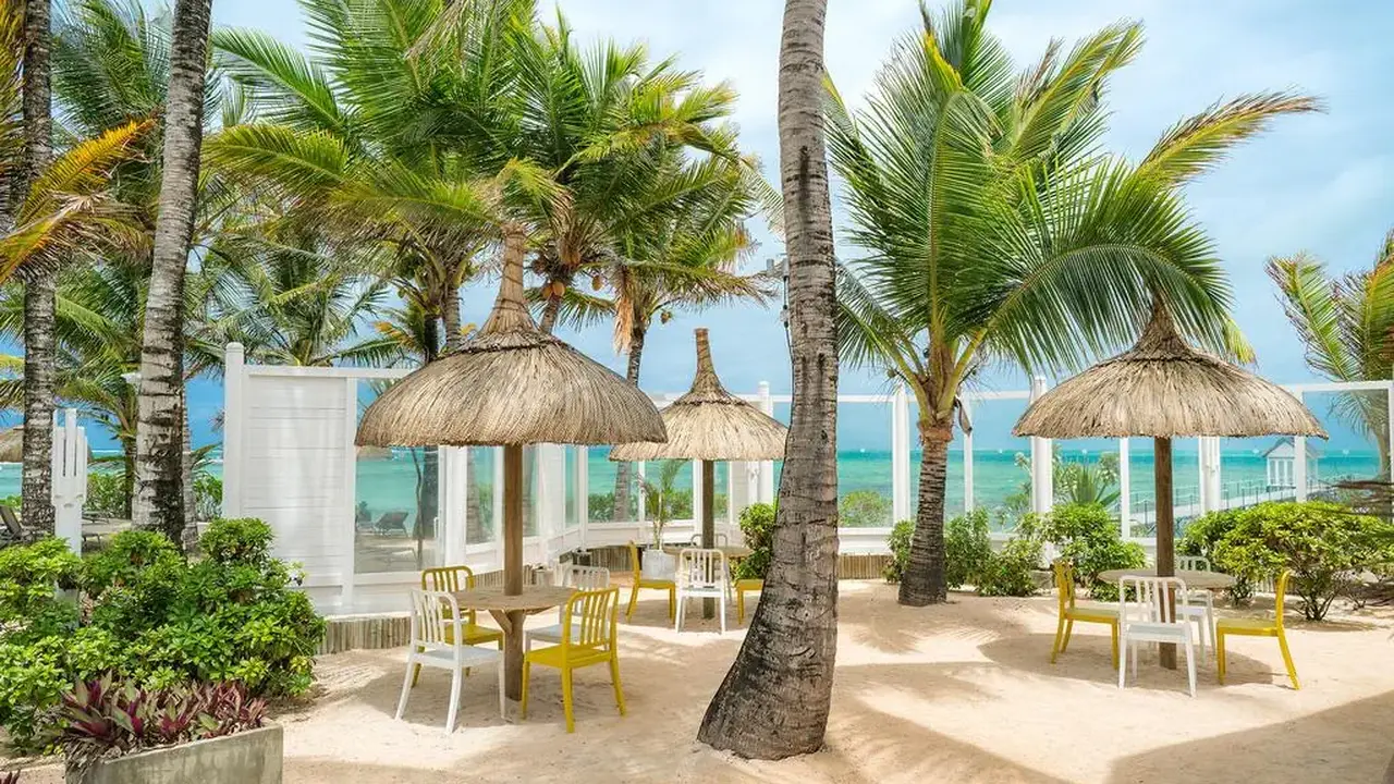 TROPICAL ATTITUDE