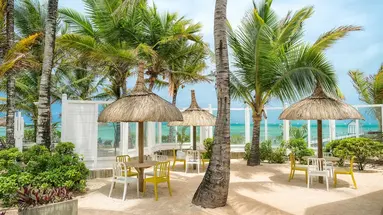 TROPICAL ATTITUDE