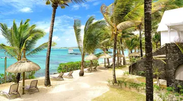 Tropical Attitude
