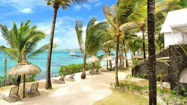 Tropical Attitude