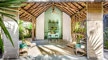 Tropical Attitude